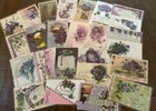 Nice lot Of 25 Greetings Postcards With Purple Violets Flowers in Sleeves d485