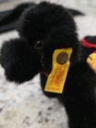 Rare Vtg Steiff Poodle  blacky  1532 12 With All Three Tags  Pristine