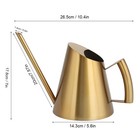 Gold Watering Can 1500ml Stainless Steel Cans Indoor Plants
