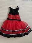 Girls 5-6t Cat Ballet Dance Tutu Dress With Accessories 