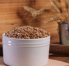 Organic Hard Red Wheat Berries - 10lbs