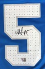 David Montgomery Signed Detroit Lions Nike Game Replica Jersey Fanatics