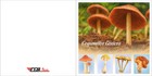 Guinea Bissau 2025 Booklet  ms16v  - Mushrooms Mushroom Champignons Pilze Fungi