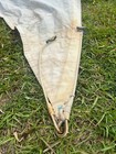 Thurston Hank On Headsail  luff  29    10    Leech  23    2    Foot  13    5    