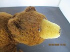 12 antique Rare Steiff Bear - Head Moves When Turning Tail With Button As Is
