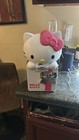 Hello Kitty Disco Party Cdg Karaoke Machine Cd Player 2012 No Microphone