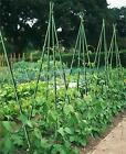 Ecostake 100 Pack Garden Stakes Plant Support For Fence  tomato Cucumer Climbing