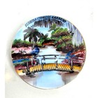 Vintage Florida Souvenir Of Cypress Gardens Hand Painted Tea Cup   Saucer Set