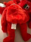Matching Ty Beanie Buddy And Beanie Baby Pair Osito