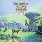 Yes Topographic Drama Banner 2x2 Ft Fabric Poster Tapestry Flag Album Cover Art