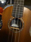 Cordoba Protege U1-m Mahogany Matte Finish Ukulele Acoustic Abolone Inlay
