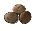 Coconut Shell 100  Natural Halves Reptile Candle Decor From Usa Beach
