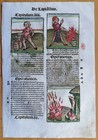 Post Incunable Leaf Hortus Sanitatis Colored Woodcuts Lapidibus  h  - 1511