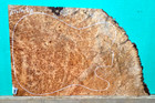 Birdseye Maple Burl Wood 1443 Luthier One Pc  Electric Guitar Top 24x 14 X 3 8