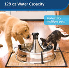 Drinkwell 360 Stainless Steel Cat   Dog Water Fountain  128-oz