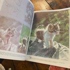 Lot Of 3 Vintage Walter Foster Art Books  How To Draw And Paint Cats   Kittens