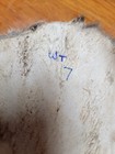 White Tail Deer Hide Hair On Hide Full Tanned Skin Leather Real Fur Taxidermy  7