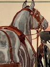 Us Army 1919 Veterinary Medical Corps Horse World War I Poster - 20x28