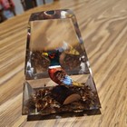 Acrylic Case  Hand Carved Wood Pheasant Faisan Paper Weight Beautiful Wildlife