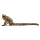 Hansa Titi Monkey Plush Toy Bh6230 Stuffed Animal 18 Realistic 13cm 5in 