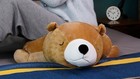 New Brown Polar Bear 11  Stuffed Animal Plush Toys Toddler Doll Kids Gifts