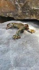 Fun Gecko Salamander Lizard Cast Iron Figure Patio Plant Accent Garden