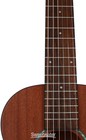 Cordoba Mini Ii  Nylon String Acoustic Guitar - Mahogany