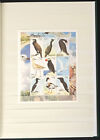 Collection Of Birds Stamps From Diff  Countries In An Album - 160 Stamp   16-m s