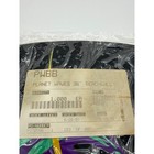 Vintage 2001 Planet Waves 36  Beachball Pwbb Gecko Graphic Inflatable New