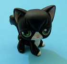 Authentic Lps Littlest Pet Shop  55 Angora Cat Black White Tuxedo Green Eyes 