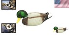 Mojo Rippler Mallard Duck Hunting Motion Decoy Vibrating Ripple Battery Powered