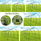 Large Size Steel Garden Arch Rose Arbor Climbing Plant Grape Support Frame Yard