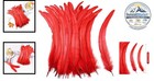 Rooster Tail Feathers Red 50 Pcs 10-12 In Natural Coque Craft Costume Decor