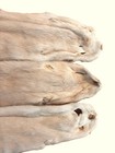 Ranched Mink Pelt  Palomino Gold  Very Pretty