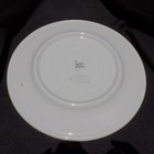 Nynh h Railroad Indian Tree Dinner Plate Buffalo Backstamped