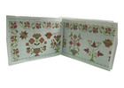 2025 Queen Of The May Hands Across The Sea Samplers-elizabeth Stephenson 1854