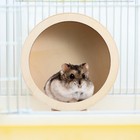 Hedgehog Wheel Chinchilla Wheel Large Silent Hamster Wheel Metal Hamster Wheel