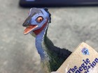 Dk278 Safari Carnegie Museum Bnwt Caudipteryx 2005 Dinosaur Model Figure Toy