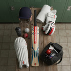 Grey Nicolls English Willow Cricket Bat 1st Grade Big Edges
