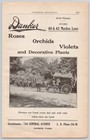 1906 Danker Florist Roses Orchids Violets Danker Farm  Albany Ny Print Ad