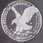 1776 - 2026 W 1 Oz  999 Siiver Eagle  1 250th Liberty Bell