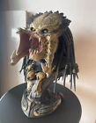 Sideshow 2002502 Wolf Predator Legendary Scale 1 2 Bust Statue In Stock