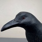 Mike Borrett Crow Decoy  On Stand  Shoot Me An Offer