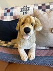 Vintage 16    Fao Schwarz Fifth Ave Golden Retriever Puppy Plush