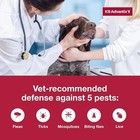 K9 Advantix Ii Flea Tick Treatment - 6 Pack For Extra Large Dogs Over 55 Lbs Us