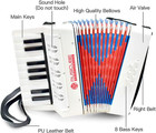 Accordion Instrument For Kids Professional 17 Keys 8 Bass Accordion With Straps