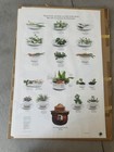 Vintage Smokey Bear Educational Nature Posters - Complete Set Of 14