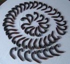 50  double Bent  Railroad Spike Coat Hooks Horse Tack Hanger