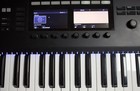 Native Instruments Komplete Kontrol S49 Mk2 Midi Controller Keyboard