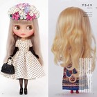 The Dictionary Of Fashion Dolls Book Japanese By Megumi Taira Dolly Dolly Books